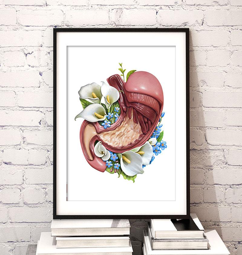 Floral stomach anatomy art print by Codex Anatomicus