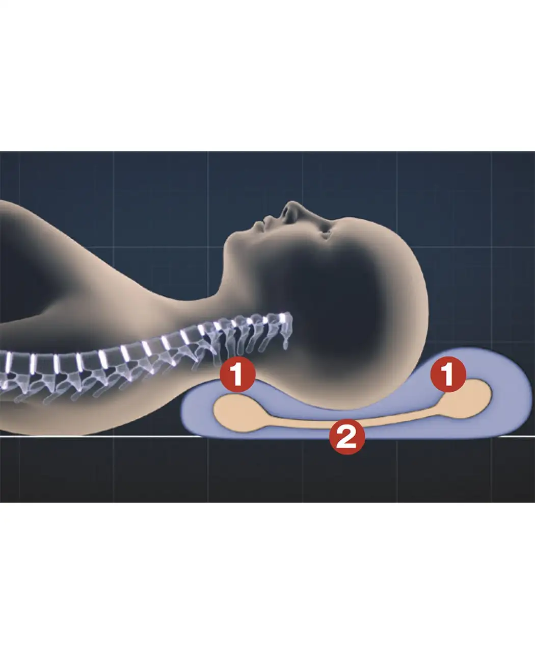 通販生活®メディカル枕(R)｜【公式】カタログハウスの通販サイト