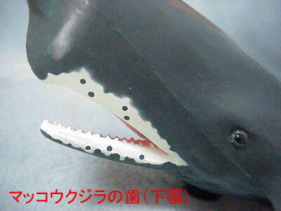 ヒゲ板」と「歯」の食べ方の違い？