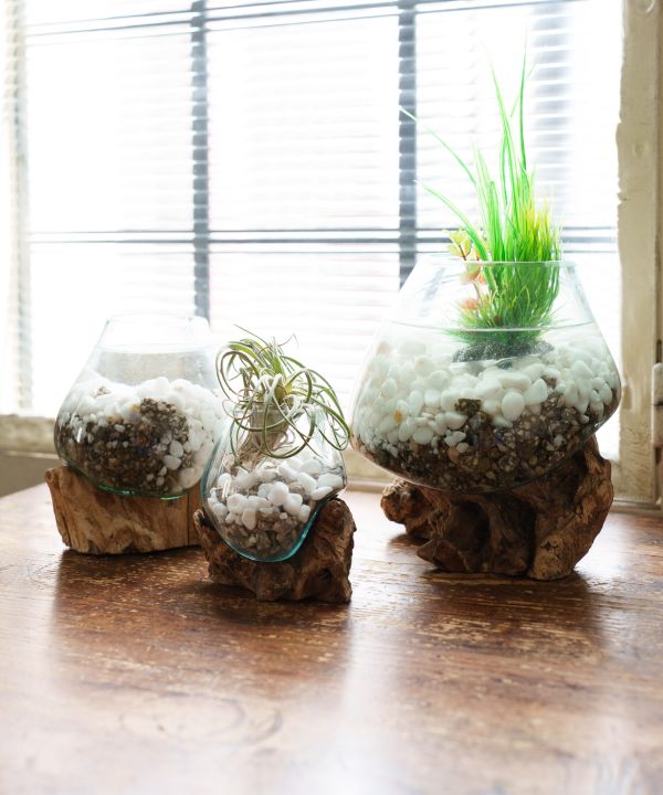 流木アクアリウムM(ASSORT): 『チャイハネ』公式通販