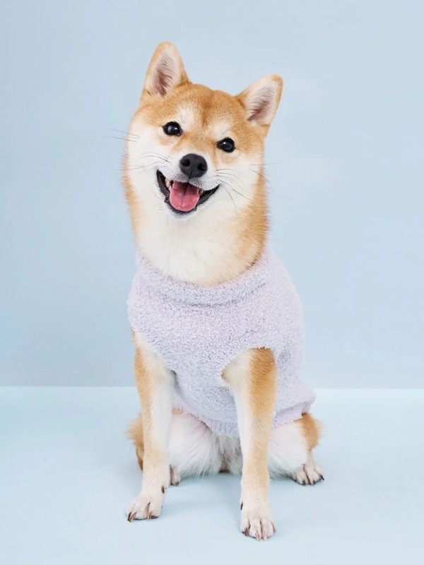 gelato pique（ジェラートピケ）【CAT&DOG】【販路限定商品】柴犬