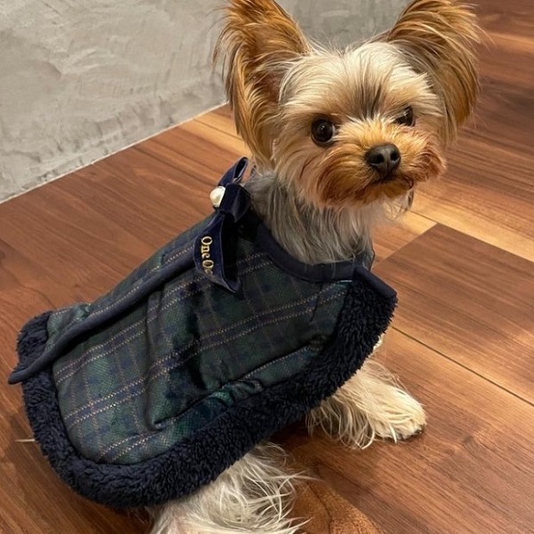 ONE OCTAVE（ワンオクターヴ）着るブランケット ベロアリボン付き