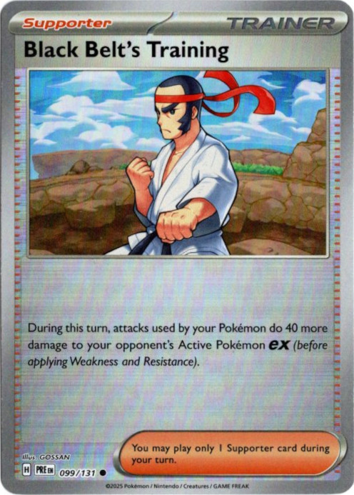 からておうの稽古 海外版 英語版 モンスターボールミラー Black Belt's