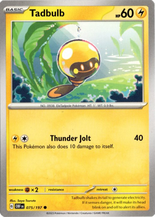 ズピカ 海外版 英語版 Tadbulb - 075/197 -【Card Chicken】