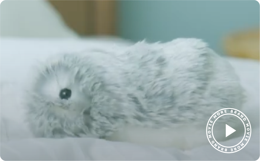 Moflin (モフリン) - 公式ストア | CASIO