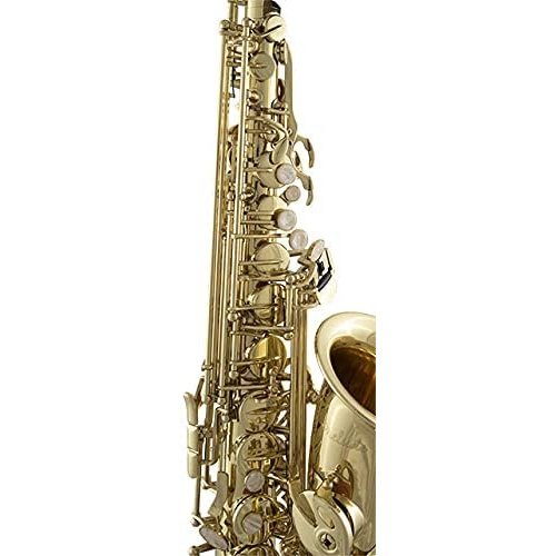 Conn-Selmer Prelude Alto Saxophone in Eb – Cassandra Strings