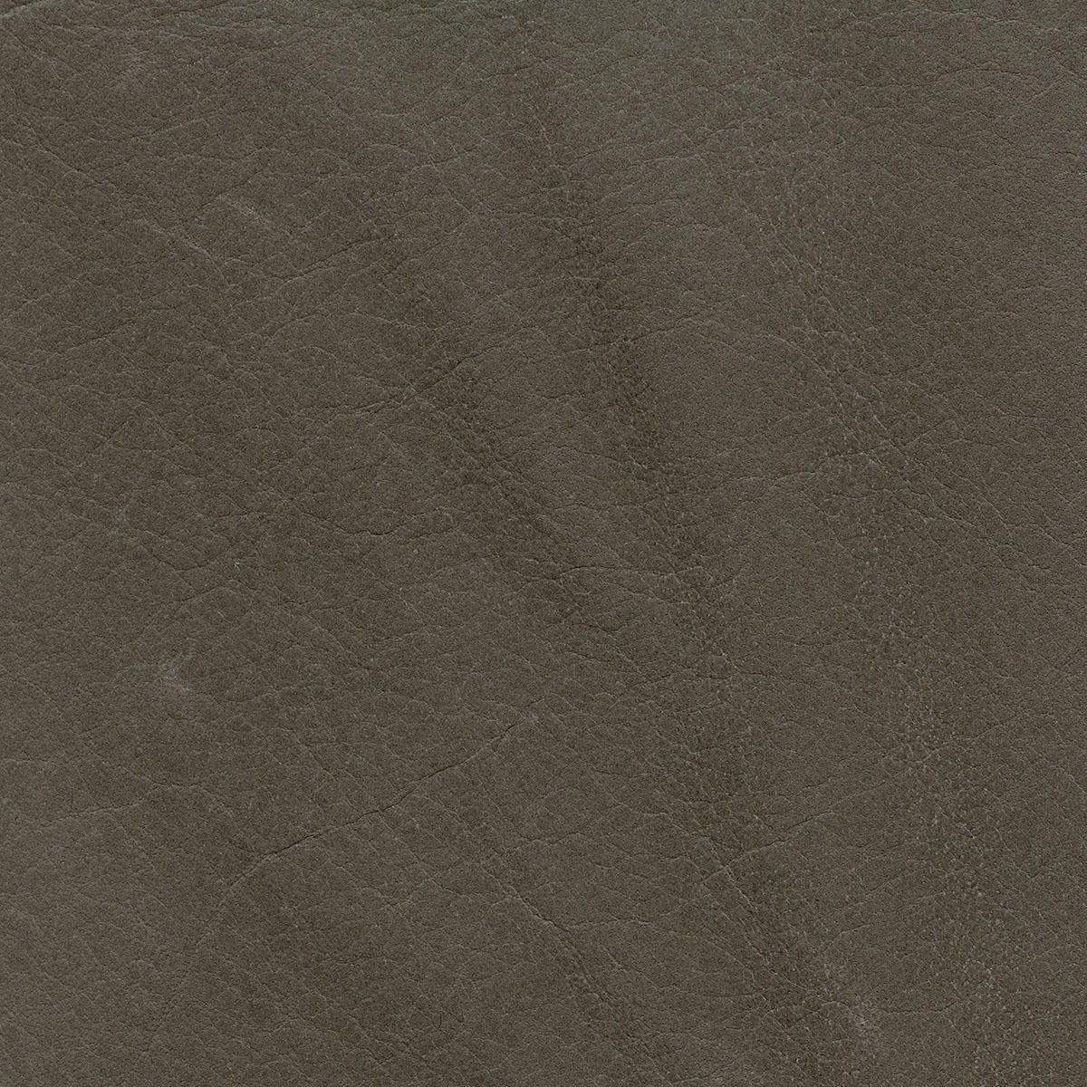 ZZランク | サンプル