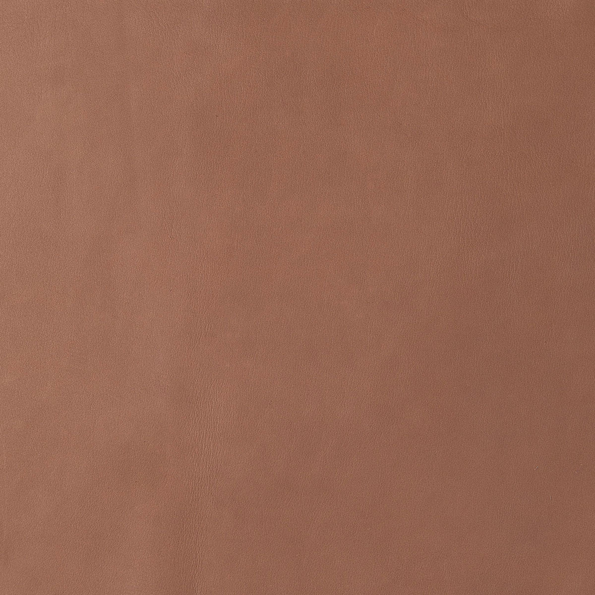 ZZランク | サンプル