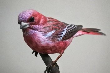 バードカービング｜講座紹介｜南大高中日文化センター｜中日文化