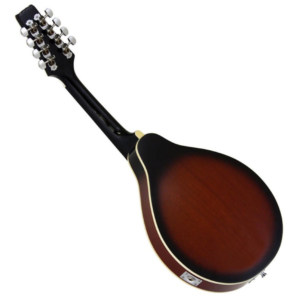 ARIA AM-20E エレクトリックフラットマンドリン(アリア ピックアップ