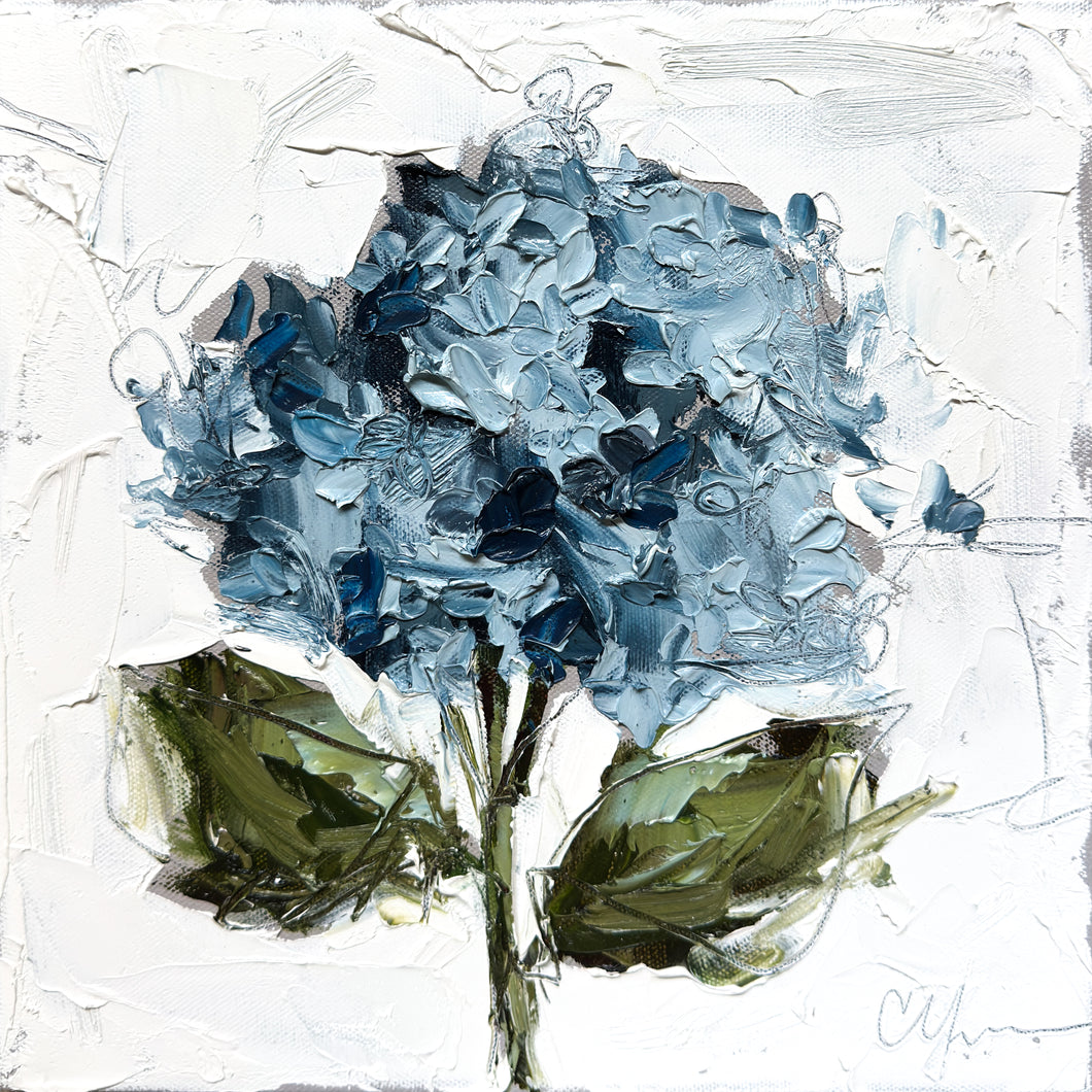 Blue Hydrangea XX