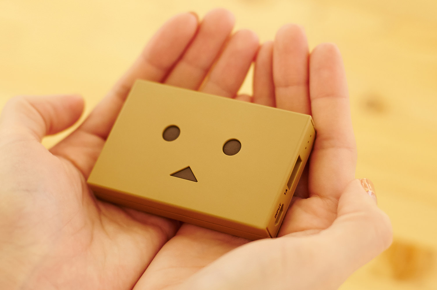 cheero Power Plus DANBOARD Plate and Block
