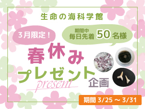 3月限定！春休みプレゼント企画 - 愛知県蒲郡市公式ホームページ