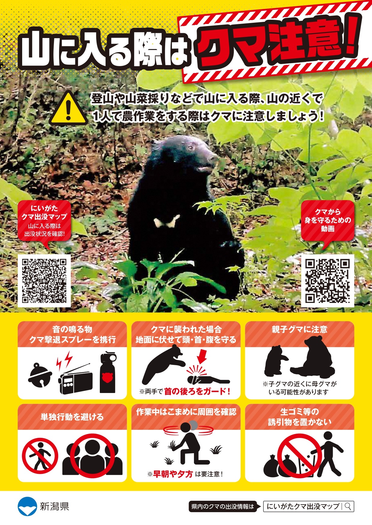 クマによる人身被害防止 - 上越市ホームページ