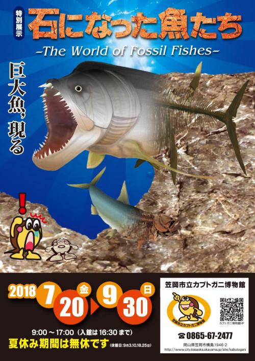 特別展示「石になった魚たち -The World of Fossil Fishes-」展 開催