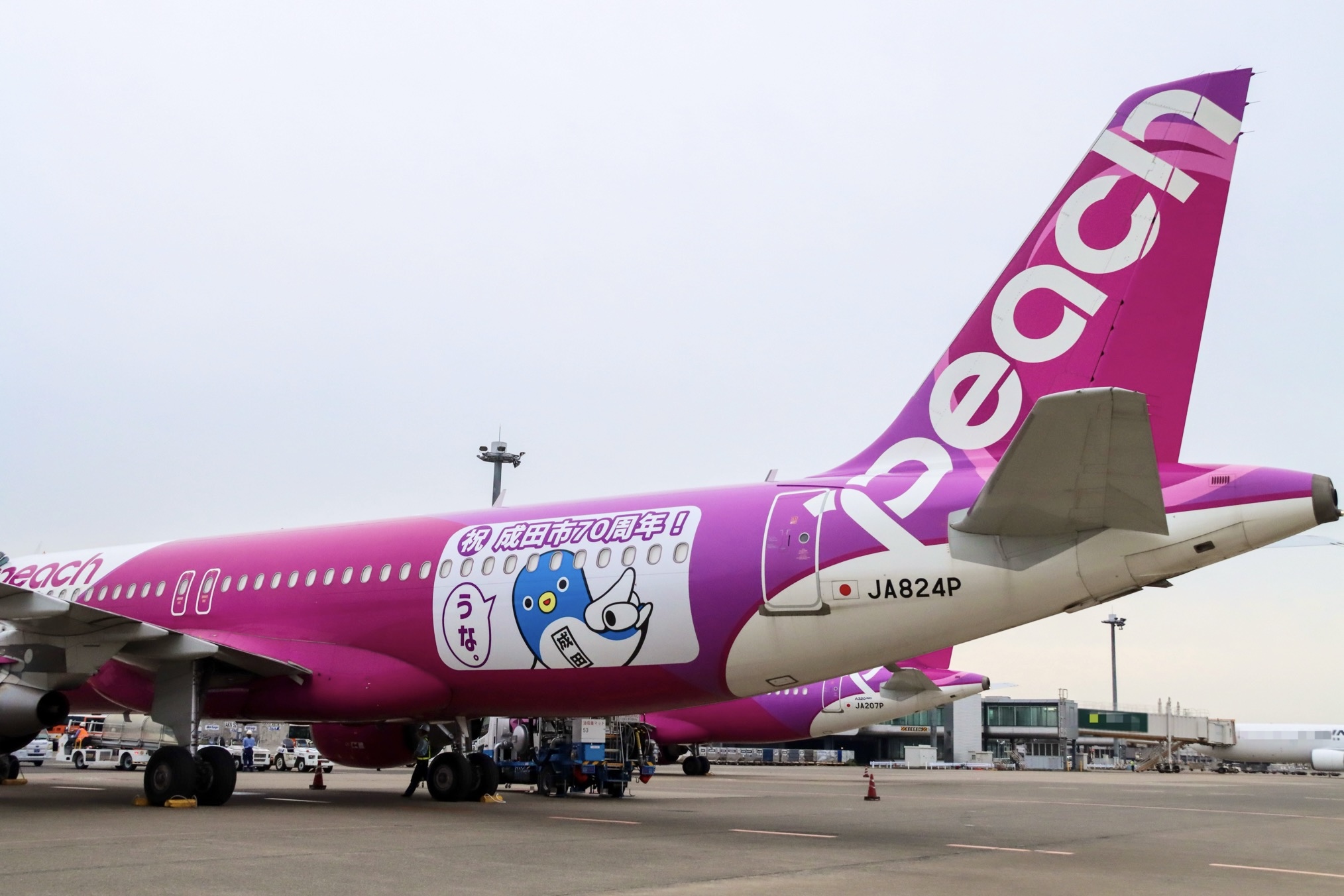 Peach×成田市】成田市制施行70周年記念「うなりくんジェット」が運航