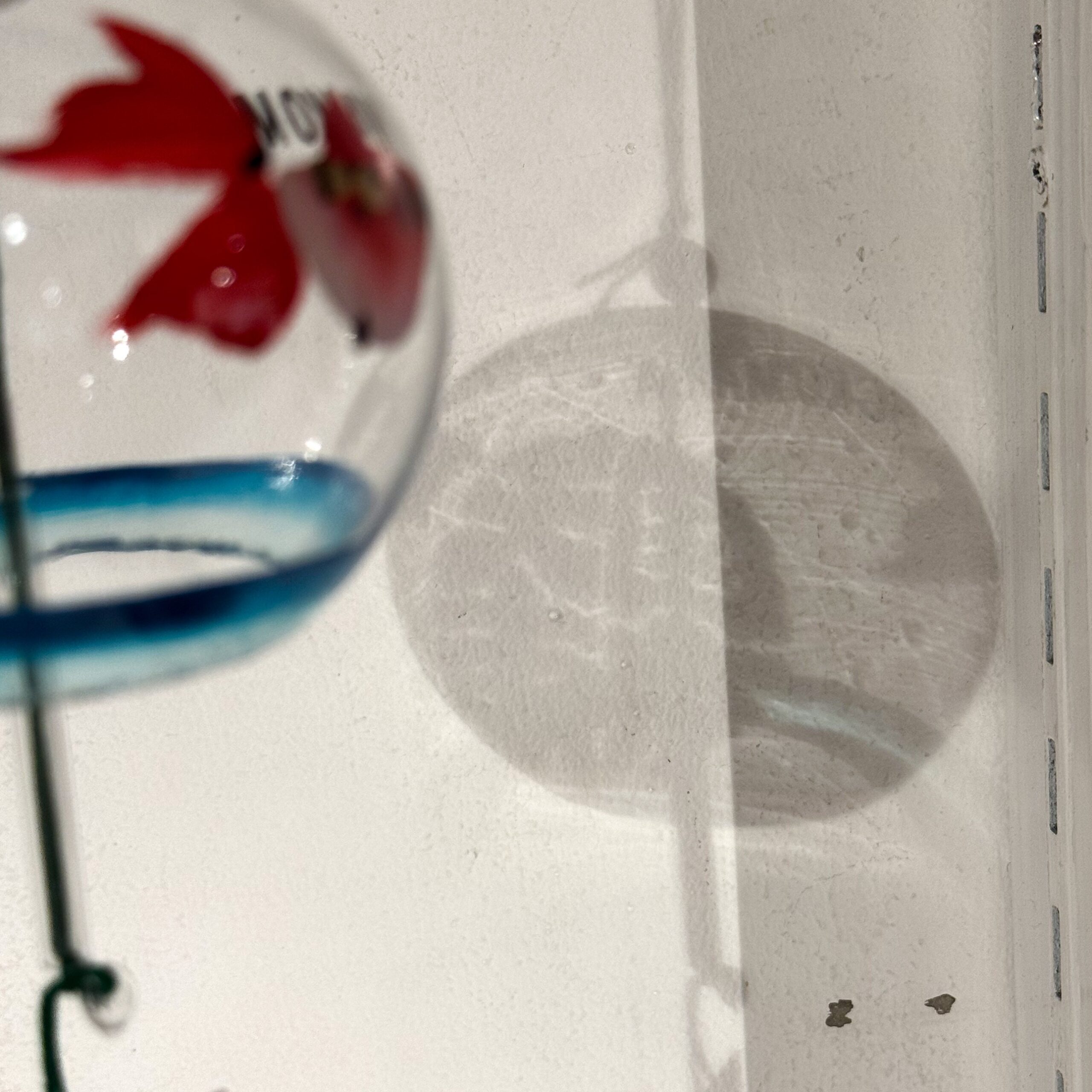 WACKO MARIA】-2025.4.26.Release- | CIENTO BLOG