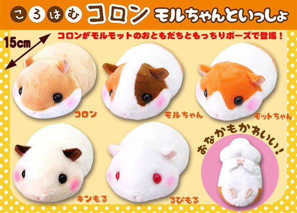 ≪7月の新商品≫ころはむコロンモルちゃんといっしょ☆アミューズ