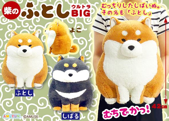 ≪1月の新商品≫柴のふとし☆アミューズプライズ-NEW ITEM