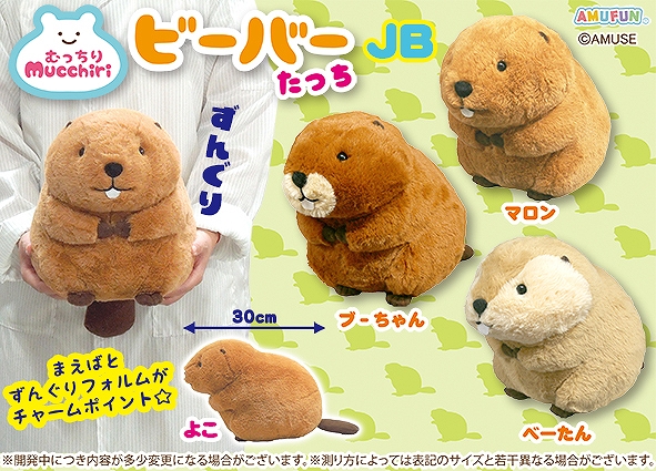 ≪1月の新商品≫むっちりビーバーたっち -NEW ITEM！｜アミューズ最新情報
