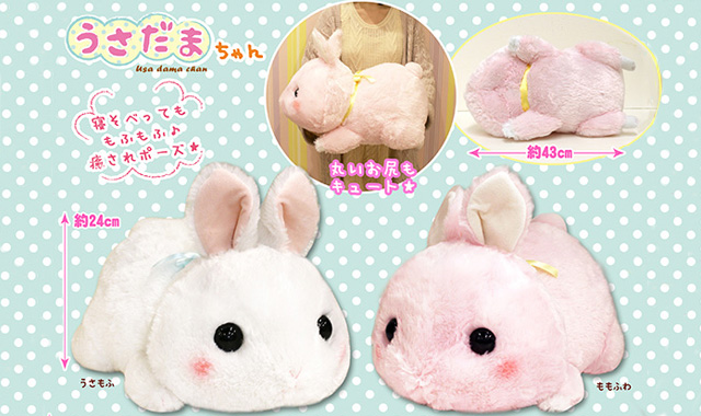 新商品情報｜アミューズ最新情報