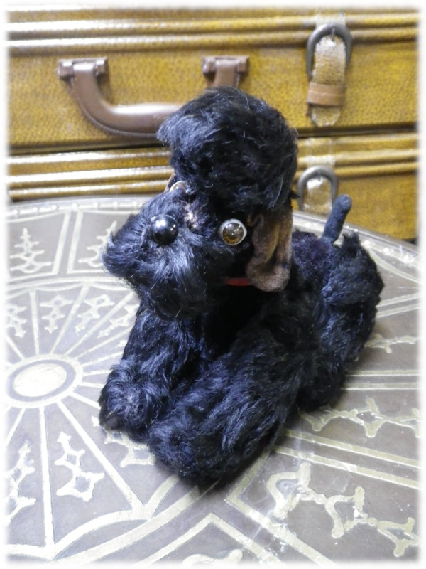 シュタイフ プードルB 縦10cm 横12cmの通販｜銀座人形館