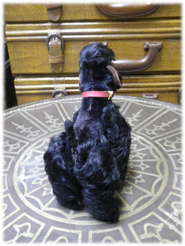 シュタイフ プードルB 縦10cm 横12cmの通販｜銀座人形館