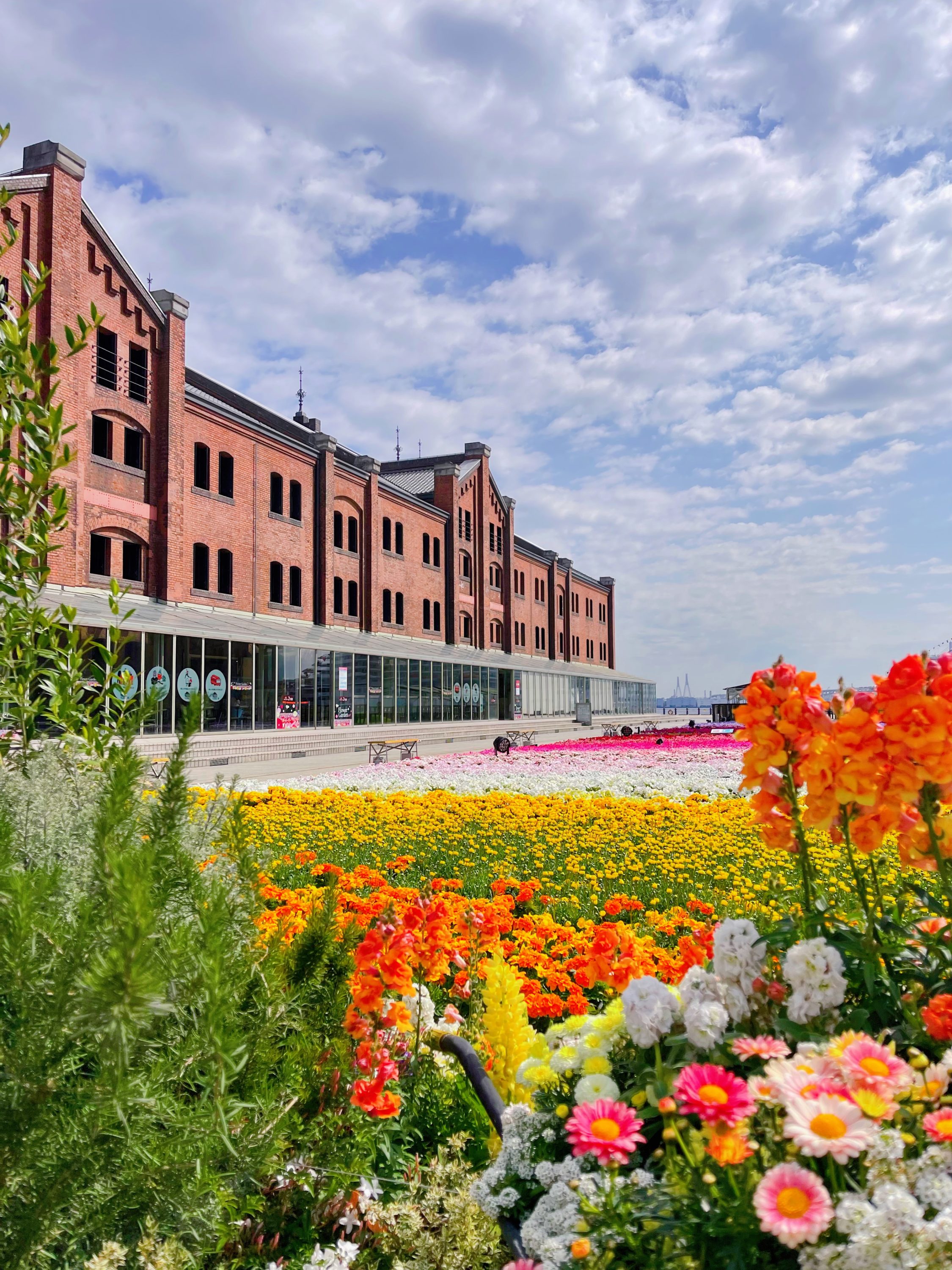 開業20周年の横浜赤レンガ倉庫とアニヴェルセルのコラボが実現