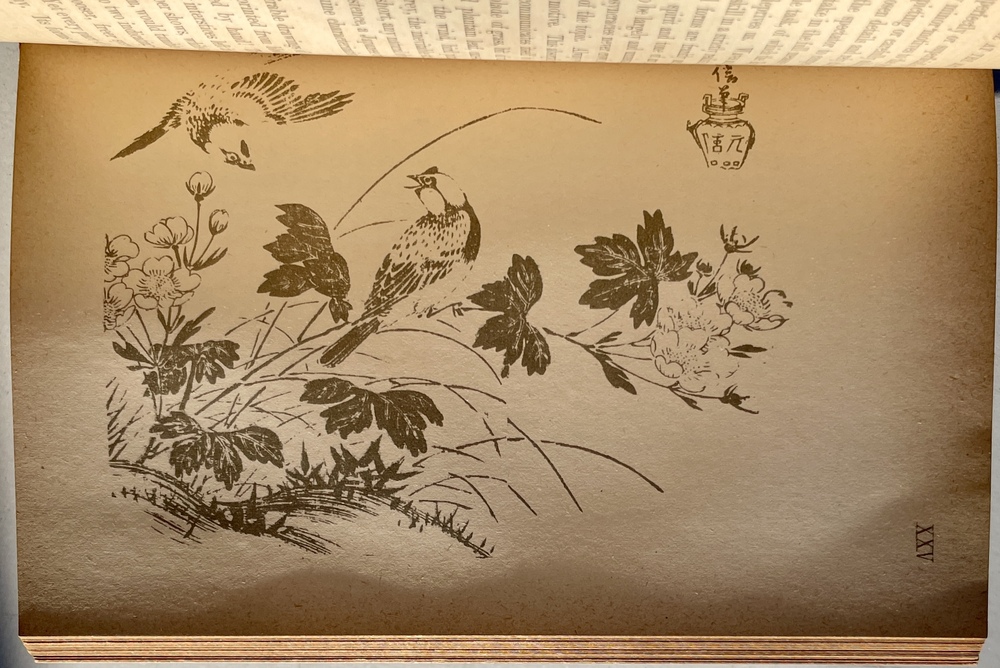 日本の美術概観』 - 青羽古書店 AOBANE Antiquarian Bookshop - 洋書