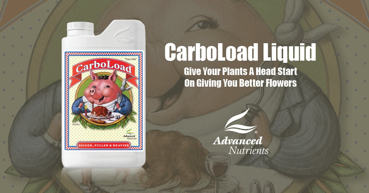 CarboLoad® | Bloom Phase Booster | Advanced Nutrients