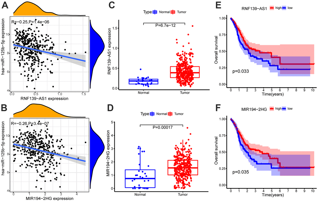 Identification of the ferroptosis-related ceRNA network related to