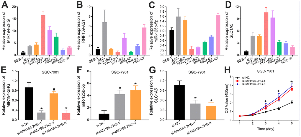 Identification of the ferroptosis-related ceRNA network related to