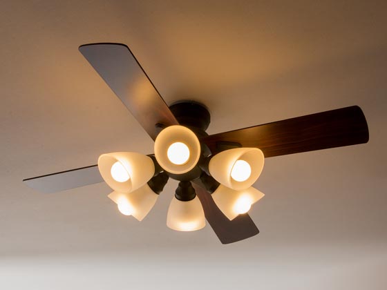 シーリングファン windouble〔ウィンダブル〕 6灯 | 家具・インテリア