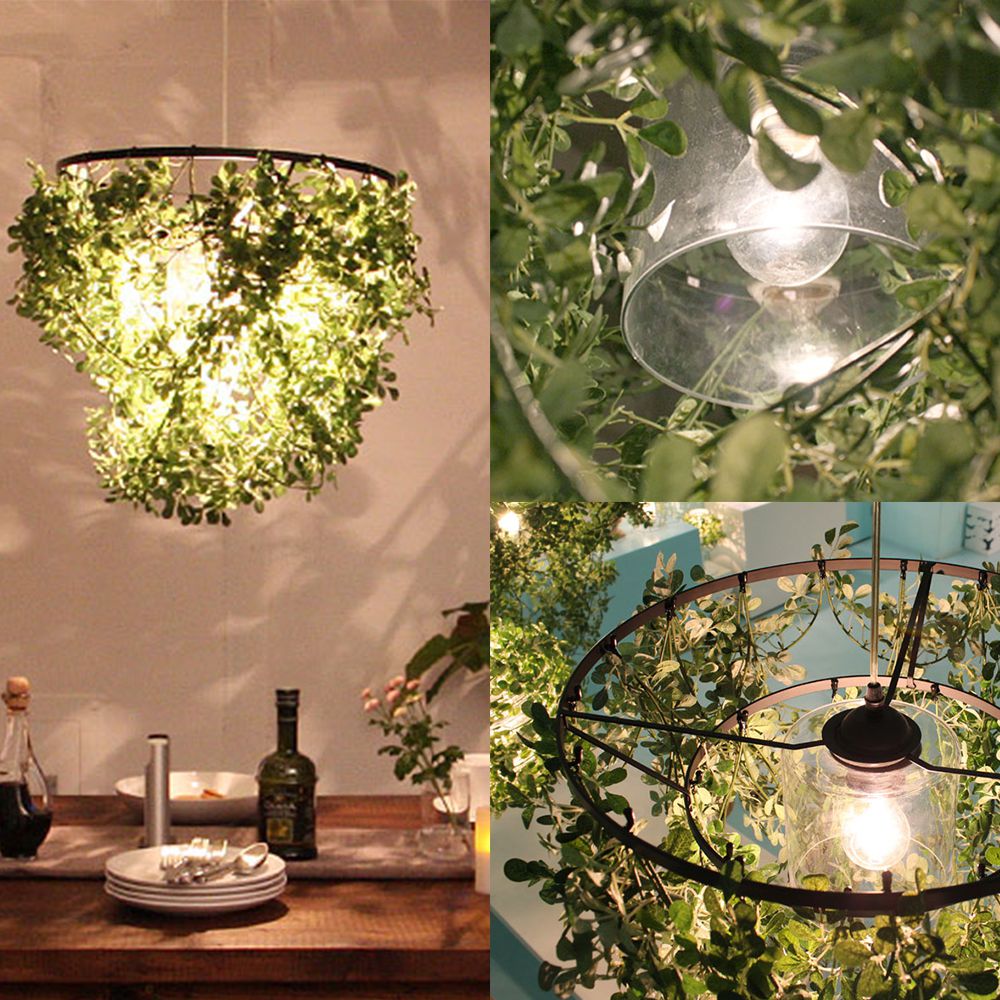 DI CLASSE Nature「Mini-Foresti ミニフォレスティ ペンダントランプ