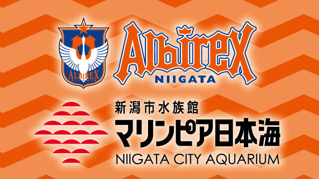 マリンピア日本海でコラボグッズ販売開始！ - アルビレックス新潟 公式
