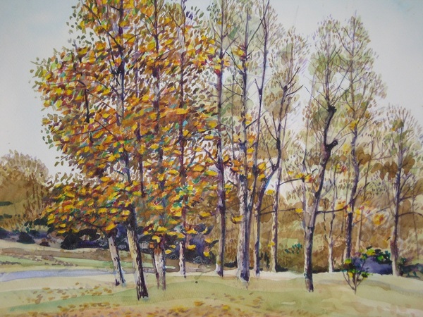 淀川の釣り人」 by 松ぼっくり｜Artmeter｜暮らしを彩るアートが