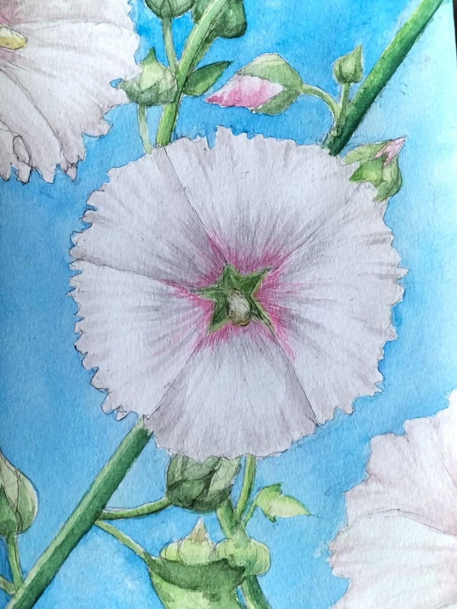 タチアオイ」 by Imai｜Artmeter｜暮らしを彩るアートが、きっと見つかる