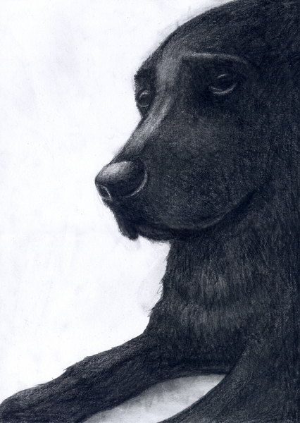 考える黒い犬」 by KEI｜Artmeter｜暮らしを彩るアートが、きっと見つかる