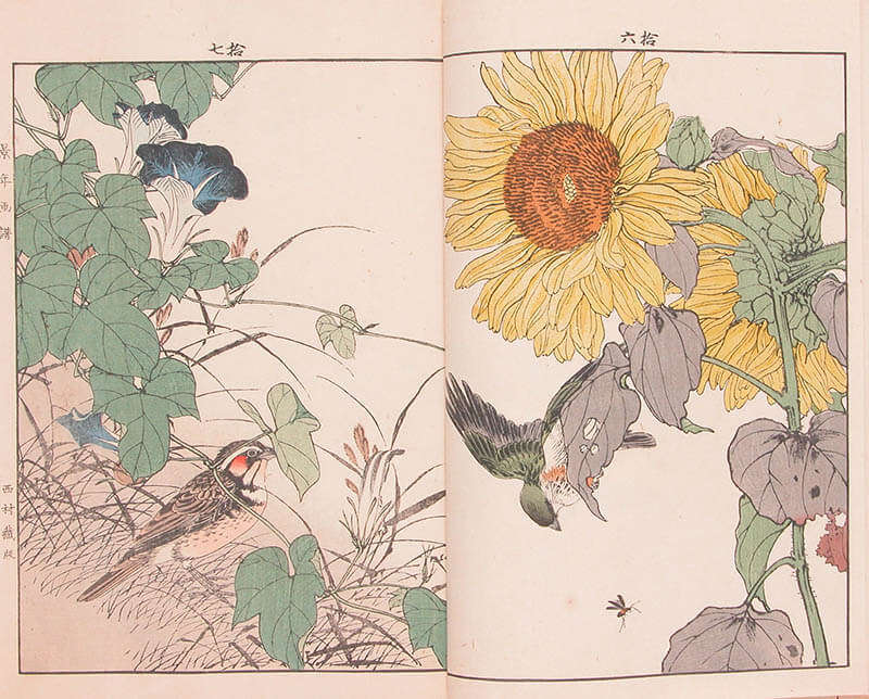 百花百鳥―うみもり・うるわしの花鳥版画― | 海の見える杜美術館