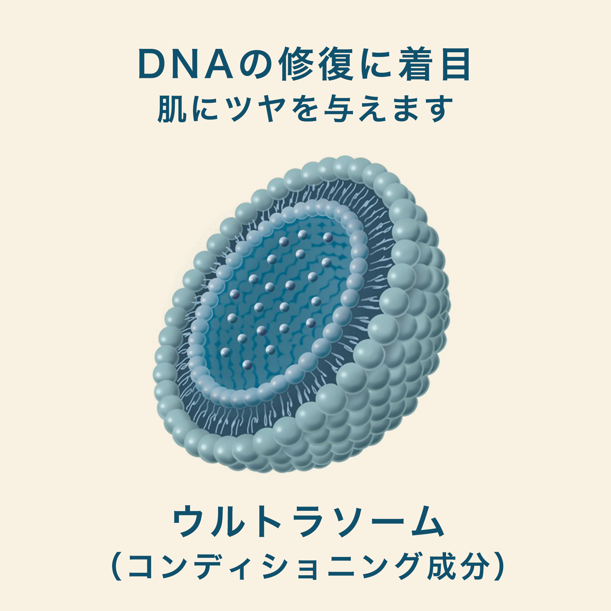 インテンシブ‐プロ 14ナイツ リペアシリーズ | アーティストリー