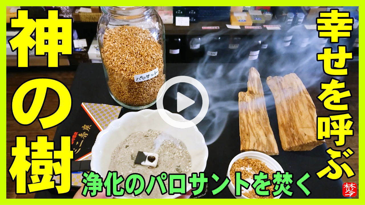 パロサント-聖なる樹・神の木-Palo Santo・原料