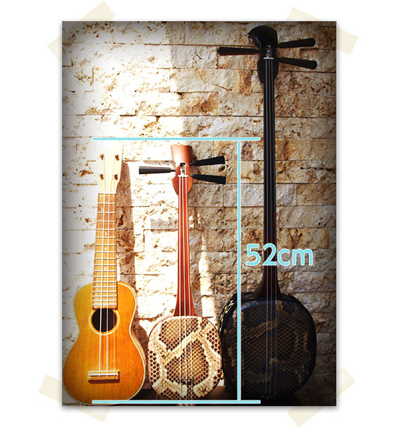 三線 販売｜沖縄の三線専門店【ASOVIVA】