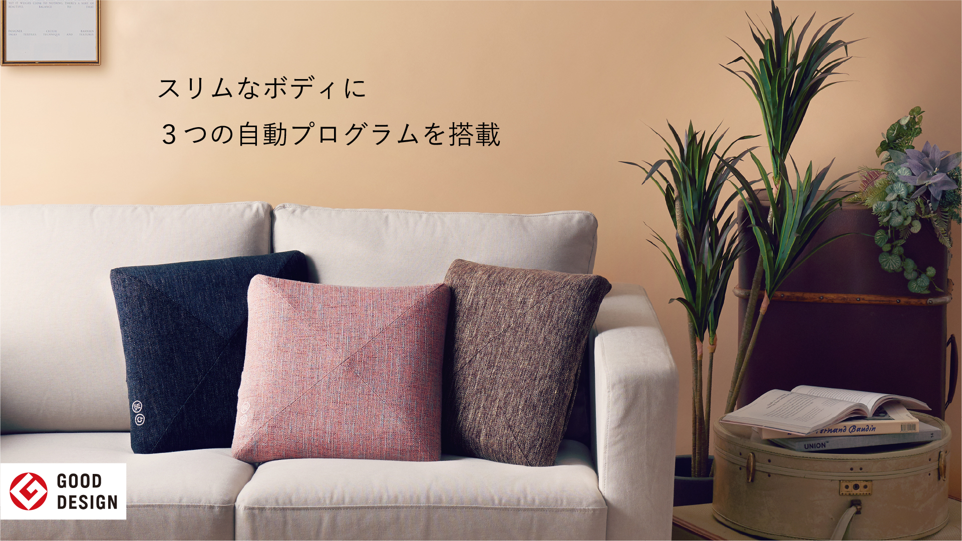 ルルドプレミアム マッサージクッション ダブルもみ® プロ AX-HCL338