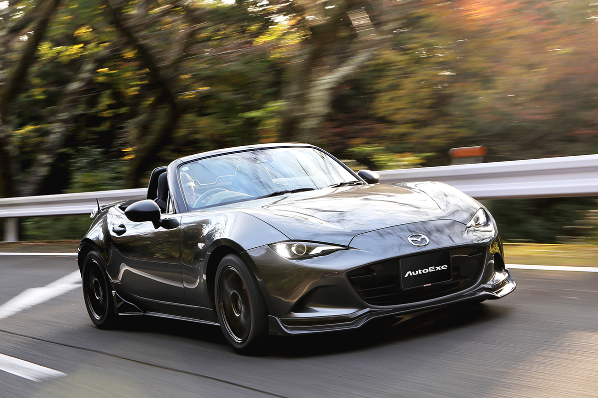 A sophisticated, high-limit sports car. New styling kit for the