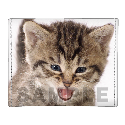 ブロッコリートレカアイテムくじEX「猫これくしょん」 | TCG