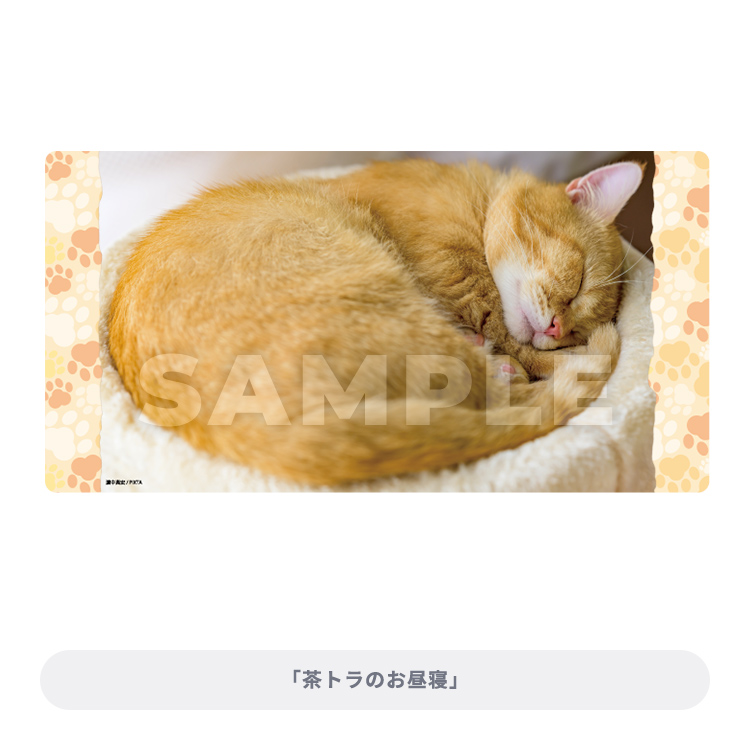 ブロッコリートレカアイテムくじEX「猫これくしょん」｜ブロッコリー