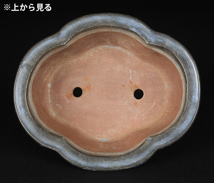 均釉外縁木瓜式鉢 | 盆栽、盆栽書籍、盆栽鉢の通販│近代出版