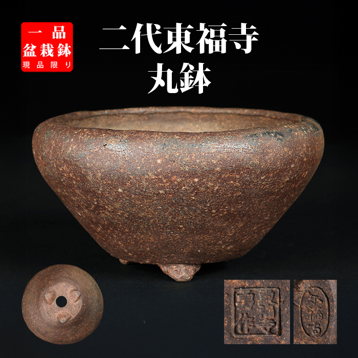 二代東福寺丸鉢 | 盆栽、盆栽書籍、盆栽鉢の通販│近代出版