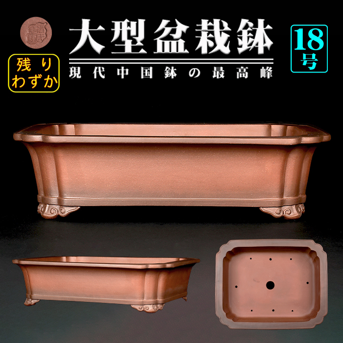 紫泥外縁隅入長方鉢 | 盆栽、盆栽書籍、盆栽鉢の通販│近代出版