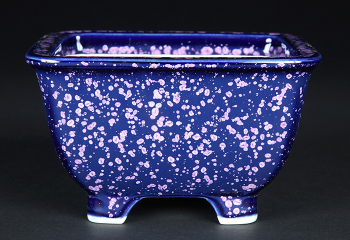 平安泉山紫結晶正方鉢 | 盆栽、盆栽書籍、盆栽鉢の通販│近代出版